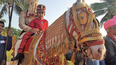 16730324_10212204747612258_268425094615966715_n