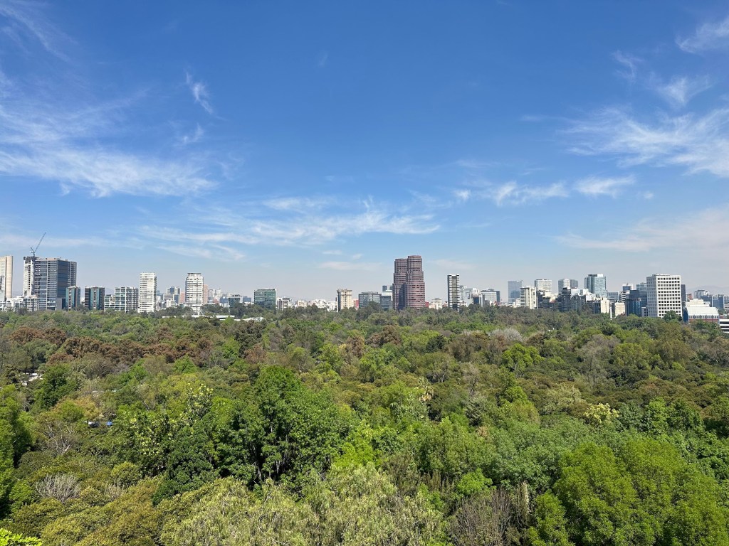 Ciudad de Mexico- CDMX